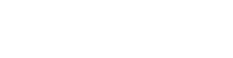 Systemvation